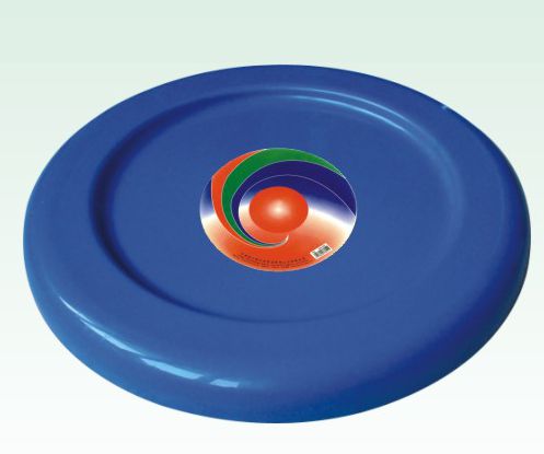 plastic frisbee for fitness(0033)